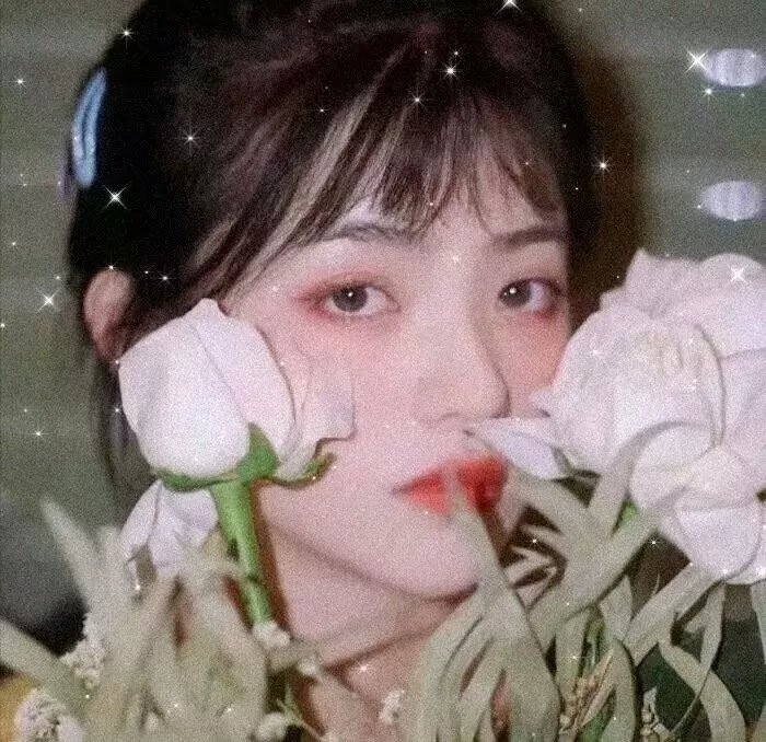 少女情怀尽是诗